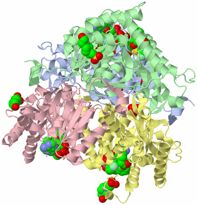 Image Asym./Biol. Unit