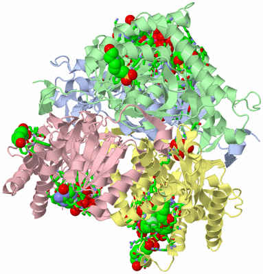 Image Asym./Biol. Unit - sites