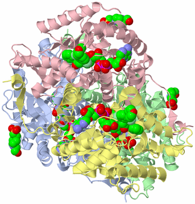 Image Asym./Biol. Unit