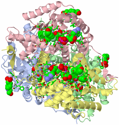 Image Asym./Biol. Unit - sites