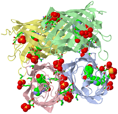 Image Asym./Biol. Unit - sites