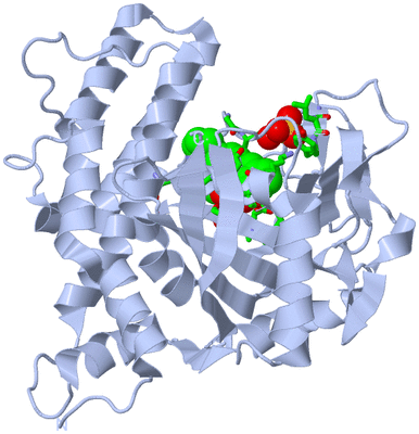 Image Biol. Unit 1 - sites