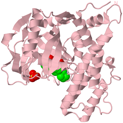 Image Biological Unit 3