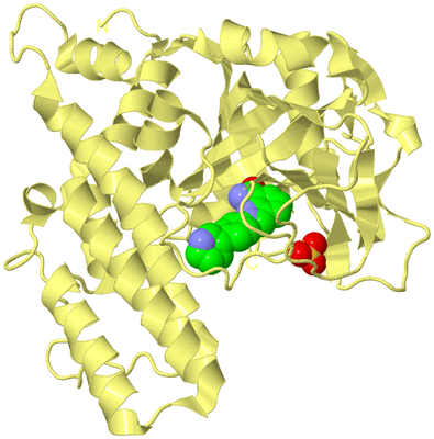 Image Biological Unit 4