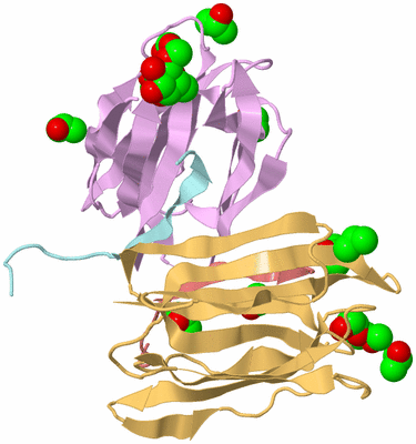 Image Biological Unit 2