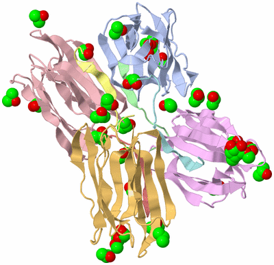 Image Biological Unit 3