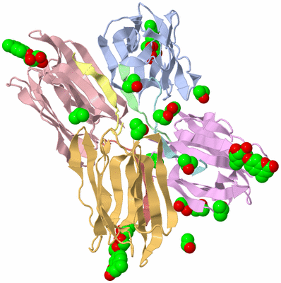 Image Biological Unit 1