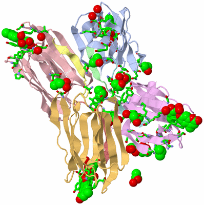 Image Biol. Unit 1 - sites