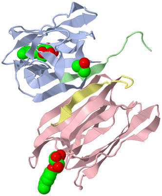 Image Biological Unit 2