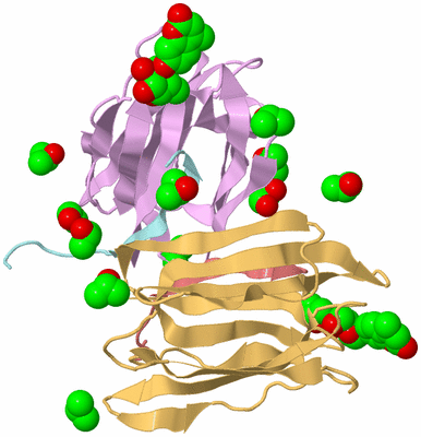 Image Biological Unit 3