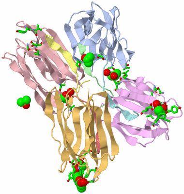 Image Biol. Unit 1 - sites