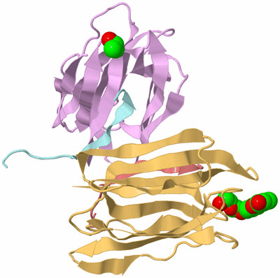 Image Biological Unit 3