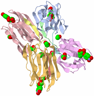 Image Biological Unit 1