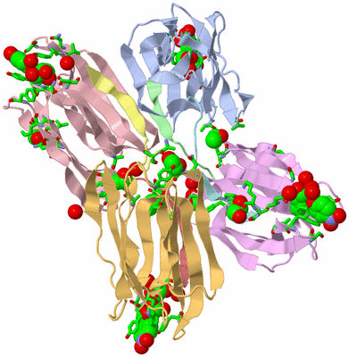 Image Biol. Unit 1 - sites