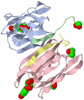 Image Biological Unit 2