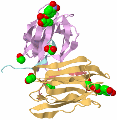 Image Biological Unit 3