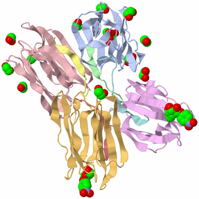 Image Biological Unit 1