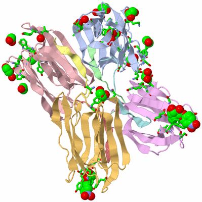 Image Biol. Unit 1 - sites