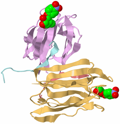 Image Biological Unit 3