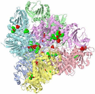 Image Biological Unit 1