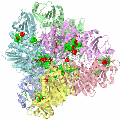 Image Biol. Unit 1 - sites