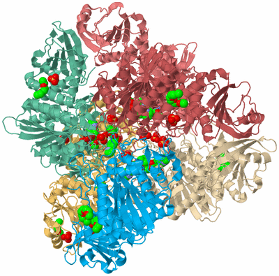 Image Biological Unit 2