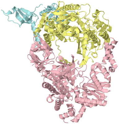 Image Biological Unit 2