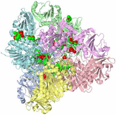 Image Biol. Unit 1 - sites