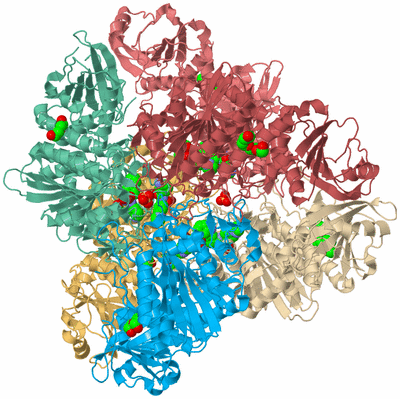 Image Biological Unit 2