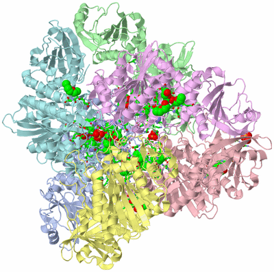 Image Biol. Unit 1 - sites