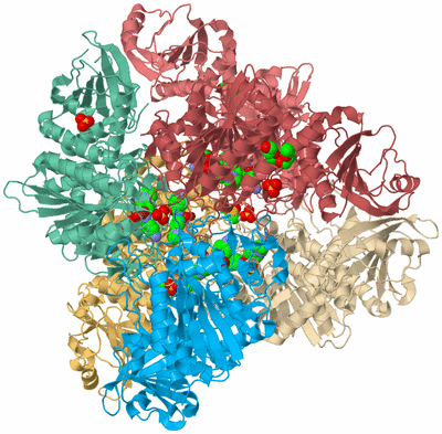 Image Biological Unit 2