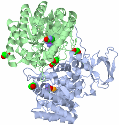 Image Biological Unit 1