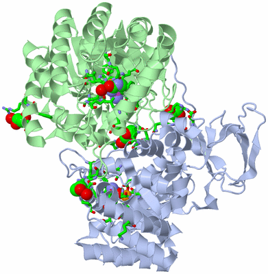 Image Biol. Unit 1 - sites