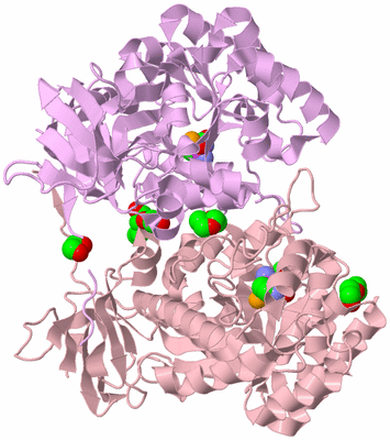 Image Biological Unit 2