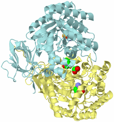 Image Biological Unit 3