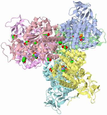 Image Biological Unit 4