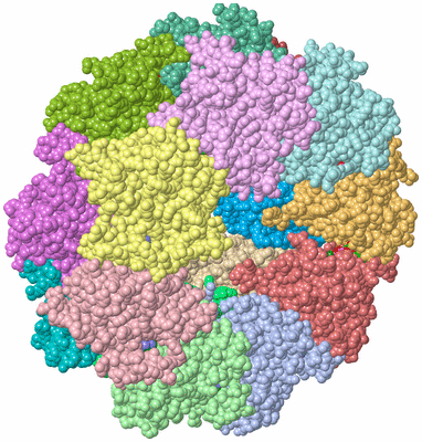 Image Asym./Biol. Unit