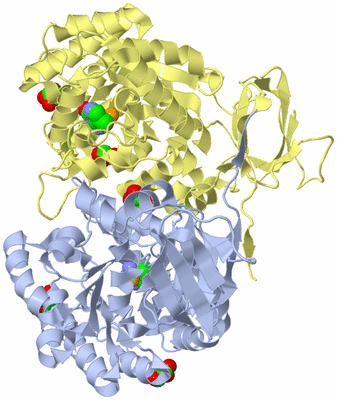 Image Biological Unit 1