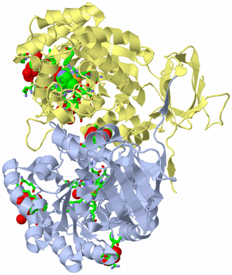 Image Biol. Unit 1 - sites