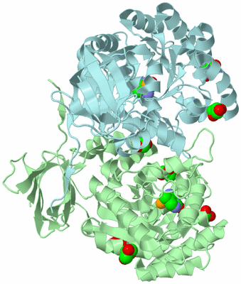 Image Biological Unit 2