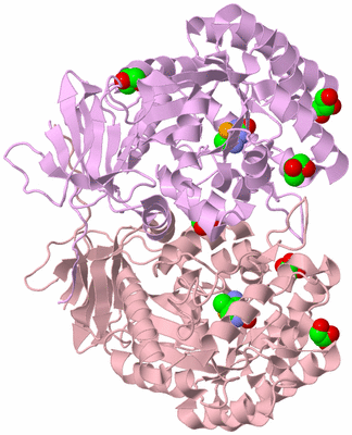 Image Biological Unit 3