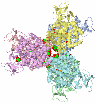 Image Biological Unit 4