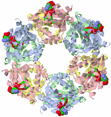 Image Biological Unit 1