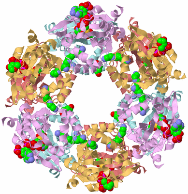 Image Biological Unit 2