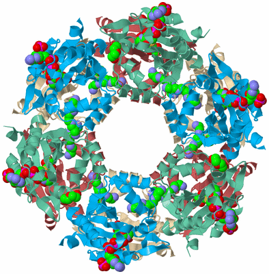 Image Biological Unit 3