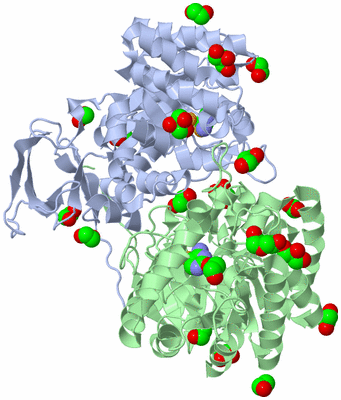 Image Biological Unit 1