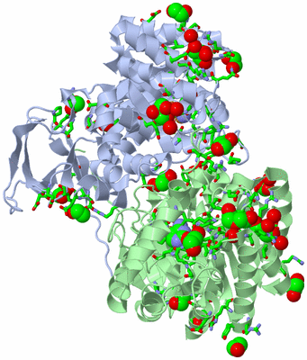 Image Biol. Unit 1 - sites