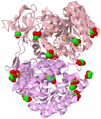 Image Biological Unit 2