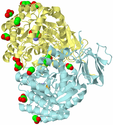 Image Biological Unit 3