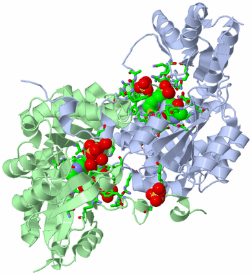 Image Asym./Biol. Unit - sites